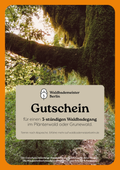 Gutschein für Waldbaden